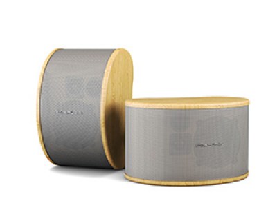 CVGaudio NUT5:8 WOOD Высококачественная низкоомная двухполосная акустическая система Hi-Fi класса