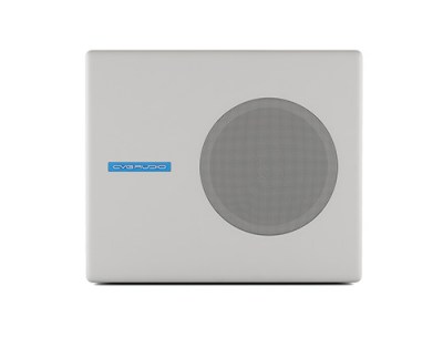 CVGaudio SUBone model A-6W/Active