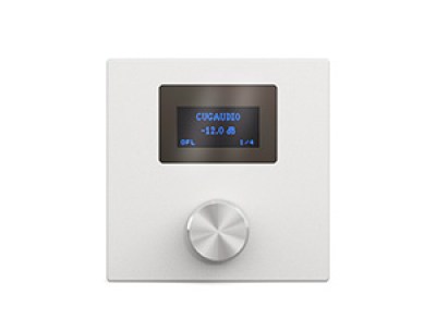 CVGaudio P-ZONER W/IP/A Программируемый настенный контроллер для удаленного управления звуковыми DSP процессорами