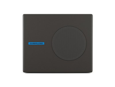 CVGaudio SUBone model A-6BL/CR/T