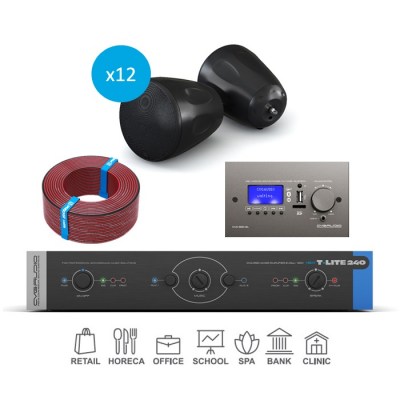 CVGaudio T-LITE COMPLEX/BL/350 Комплект звукового оборудования с управлением громкостью и источниками сигнала