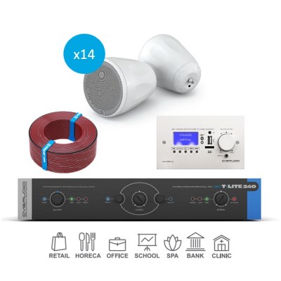 CVGaudio T-LITE COMPLEX/W/350 Комплект звукового оборудования с управлением громкостью и источниками сигнала