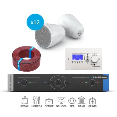 CVGaudio T-LITE COMPLEX/W/300 Комплект звукового оборудования с управлением громкостью и источниками сигнала