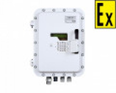 Пульт контроля и управления взрывозащищенный С2000-ПКВ