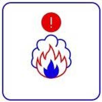 TRASSIR Fire & Smoke