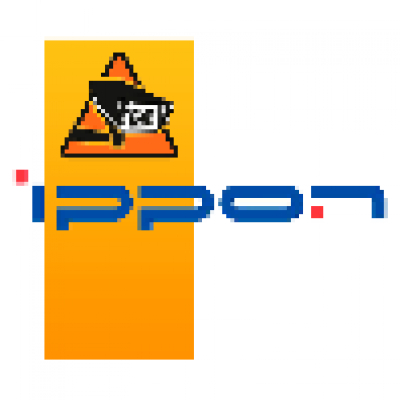 Рельсы монтажные в стойку Innova RT II 6-10K/Smart Winner New (ИБП и доп батарей) (1080984)