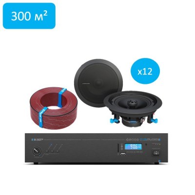CVGaudio CHEAP FOCUS/BL/300 Комплект звукового оборудования для озвучивания помещений площадью до 300 м2