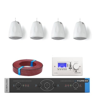 CVGaudio T-LITE COMPLEX/W/M Комплект звукового оборудования с управлением громкостью и источниками сигнала