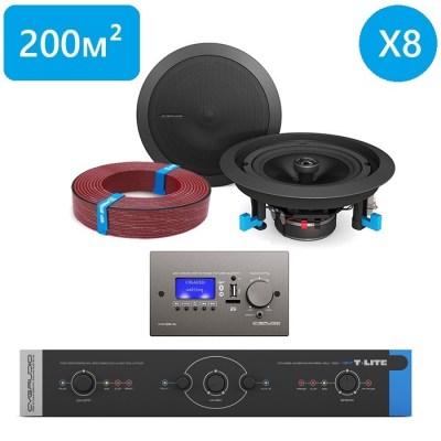 CVGaudio T-LITE FOCUS/BL/XL Комплект звукового оборудования с управлением громкостью и источниками сигнала