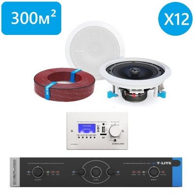CVGaudio T-LITE FOCUS/W/XL 300 Комплект звукового оборудования с управлением громкостью и источниками сигнала