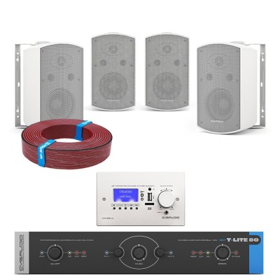 CVGaudio T-LITE VECTOR/W/M Комплект звукового оборудования с управлением громкостью и источниками сигнала