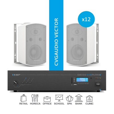 CVGaudio VECTOR/W/300 Комплект звукового оборудования для озвучивания помещений площадью до 300 м2